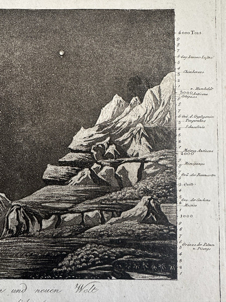 World Mountain heights comparison diagram Gay-Lussac c.1810 rare visual print