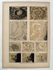 Celestial 4 color print lot 1888 comets galaxies clusters star constellations