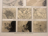 Celestial 4 color print lot 1888 comets galaxies clusters star constellations
