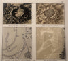 Celestial 4 color print lot 1888 comets galaxies clusters star constellations