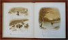 Shakespeare Song of Spring & Winter 1890's Tuck chromo litho color plate book