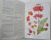 French Horticultural Review 1916 Botanical Flower Journal 12 color plates & pics