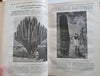 Horticultural Review 1925 Botanical Journal 24 color litho plates flowers fruits