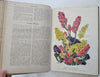 Horticulture Review 1928 French Journal 24 lovely color plates flowers & fruits