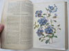 Horticulture Review 1928 French Journal 24 lovely color plates flowers & fruits