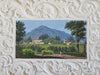 Salzburg Austria Miniature Landscape City View c. 1850's hand painted souvenir