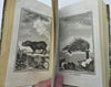 Natural History Quadrupeds Goats Antelope 1786 Buffon leather book 27 plates