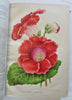 Horticultural Review 1912 Botanical Journal 24 color litho plates flowers fruits