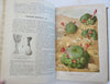 Horticultural Review 1912 Botanical Journal 24 color litho plates flowers fruits