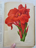 Horticultural Review 1912 Botanical Journal 24 color litho plates flowers fruits