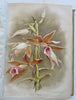 Horticultural Review 1912 Botanical Journal 24 color litho plates flowers fruits