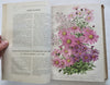 Horticultural Review 1915 Botanical Journal 24 color litho plates flowers fruits