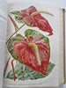 Horticultural Review 1915 Botanical Journal 24 color litho plates flowers fruits