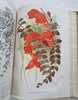 Horticultural Review 1915 Botanical Journal 24 color litho plates flowers fruits