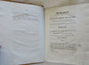 Ancient Egyptian Hieroglyphics 1842 Champillion Rosetta Stone 9 plates France