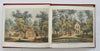 Versailles French Royal Palace Gardens Trianon c. 1840's fine color litho album