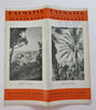 Dalmatian Coast Yugoslavia Tourist Info 1932 pictorial travel brochure w/ map