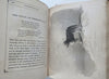 Dogs Anecdotes Terriers Greyhounds Beagle Spaniel 1866 Jesse 19 engraving book