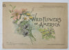 Wild Flowers of North America Botanical Weekly 1894 Maud Humphrey color art