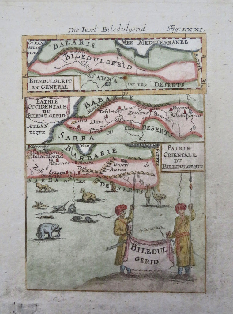 North Africa Biledulgerid Barbary Coast Animals Dragon 1719 decorative map