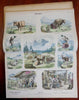 early Comic Art 1880's Munich 24 hand colored narrative picture sheets frameable