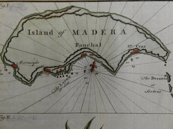 Madeira Funchal c. 1753 Atlantic Island Dragon Tree Dragon's Blood engraved map