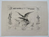 Eagle Symbols French & Roman Empires 1850's scarce antique lithograph print