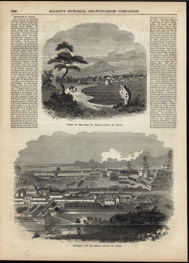 Tokyo Capital of Japan Rice Paddies Line Road Beauty 1856 antique engraved print