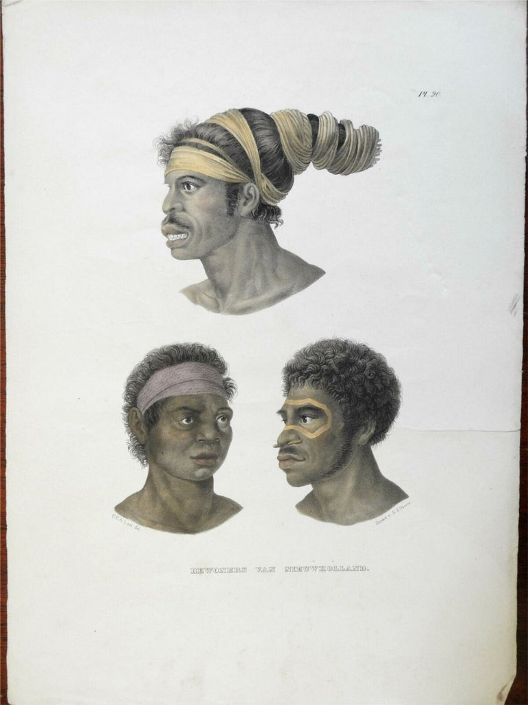 Australian New Holland Aborigines Male Portraits c. 1850 ethnic view print