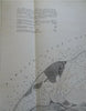 New Dungeness Harbor Washington 1856 U.S. Coastal Survey nautical chart