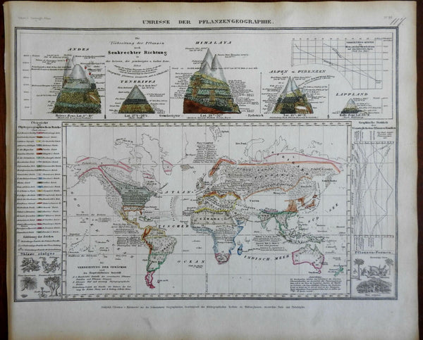 Plants of the World Mountain Comparisons World Map 1850 Meyer map