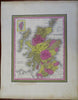 Scotland Edinburgh Glasgow Orkneys Shetland 1848 Cowperthwait Mitchell map