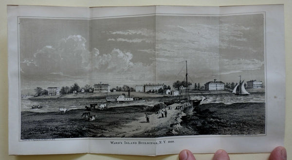 Ward Island New York City Cows Sailing Ships Steam Paddle Boat 1860 Valentine