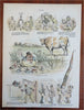 American political Cartooning Opper Art 1880's Puck Humor Lot x 10 color prints