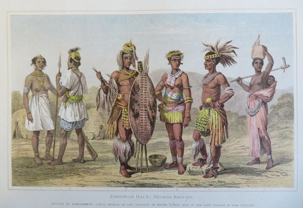 Senegambian & Zulu African Warriors Bechuana c. 1880 Blackie color ethnic view