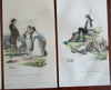 J. Vogel c. 1830's European costumes of Young People hand color print lot x 8