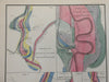 Vermont River Terraces Winooski River Lamoille River 1861 geological geology map