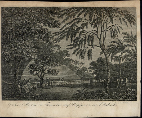 Otaheite Large Morai early Hawaii Trees Flora nice rare 1802 antique print