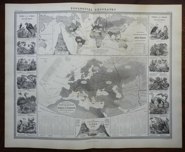 Birds of Europe Geographic Distribution Zoology 1856 Blackwood map w/ vignettes