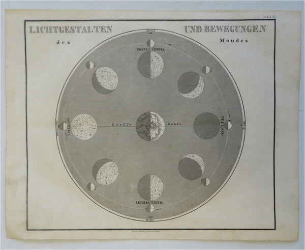 Phases & Orbit of the Moon Lunar Phases 1860's Biller Astronomical print