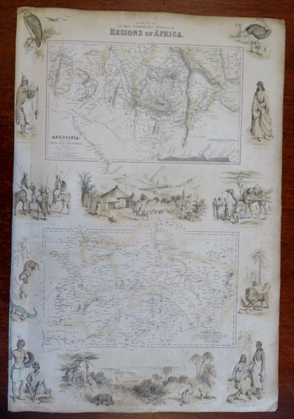Abyssinia & Central Africa Decorative Vignettes c. 1855-60 Fullarton map