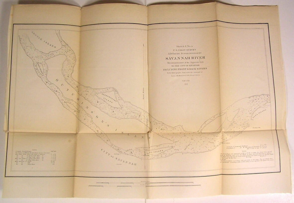 Savannah River Hutchinson's Island Georgia nice 1851 U.S.C.S. old nautical map