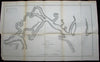 Georgia coast Romerly Marshes Wassaw Refuge Savannah 1855 antique nautical map