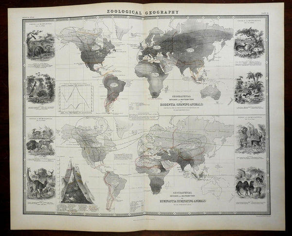 Geographical Division of Rodents and Ruminantia Camels Rams 1856 Blackwood map