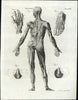 early rare American engraved Anatomy plates c.1794 Scot Thackara