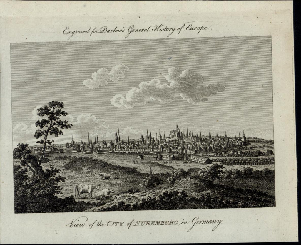 Nuremburg Germany Skyline Churches Steeples Cattle fine ca. 1790 antique view
