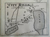 Norfolk Township & Centre City Mills River End 1876 Mass. detailed map