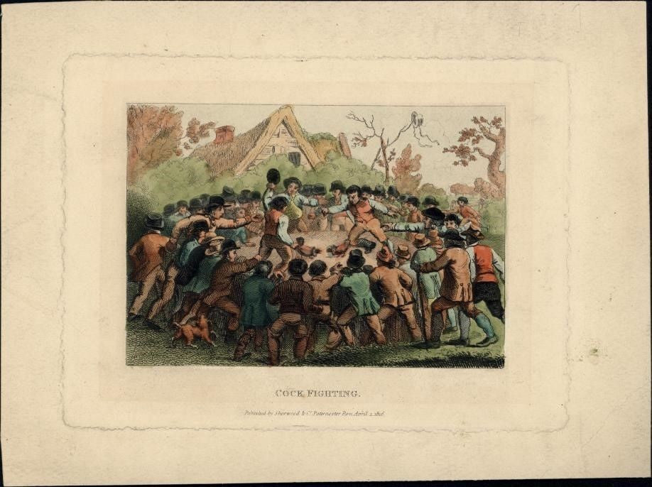 Cock Fighting in ring betting big crowd 1816 hand color Engraved Antique Print
