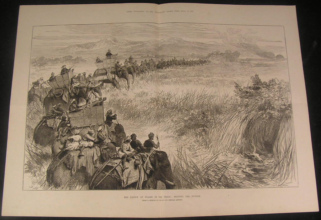 Prince of Wales Tamed Elephants Indian Jungle 1876 antique wood engraved print