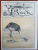 Keppler Art Political Humor 1880's Puck Political Cartoons Lot x 10 color prints